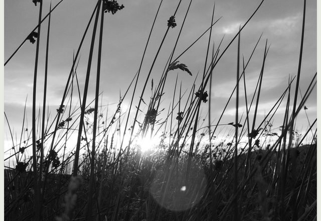 Neil Foster - Trawalua (Spotify), Neoclassical music genre, Nagamag Magazine