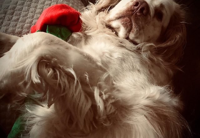 Quinn Sternberg - June (Spotify), Jazz music genre, Nagamag Magazine