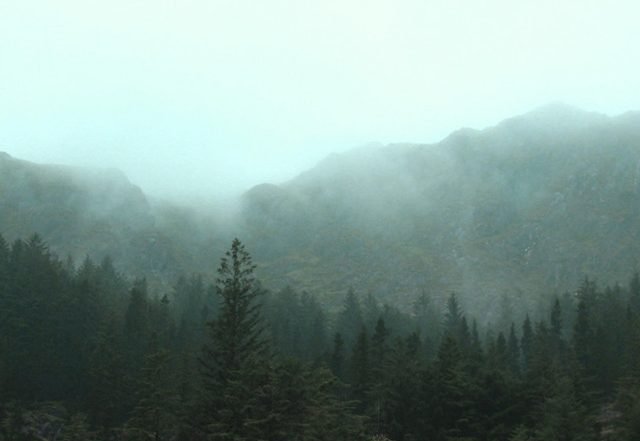 André Goyvaerts - Liberosis, Neoclassical music genre, Nagamag Magazine