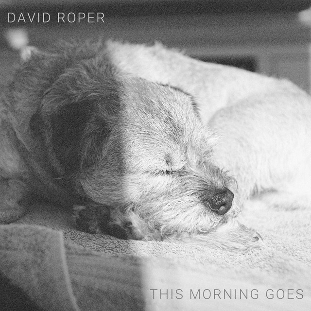 David Roper – Everything Will Be Fine (Spotify)