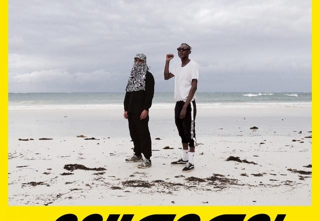 FlexFab & Ziller Bas - Haha! Haha!, World Music music genre, Nagamag Magazine
