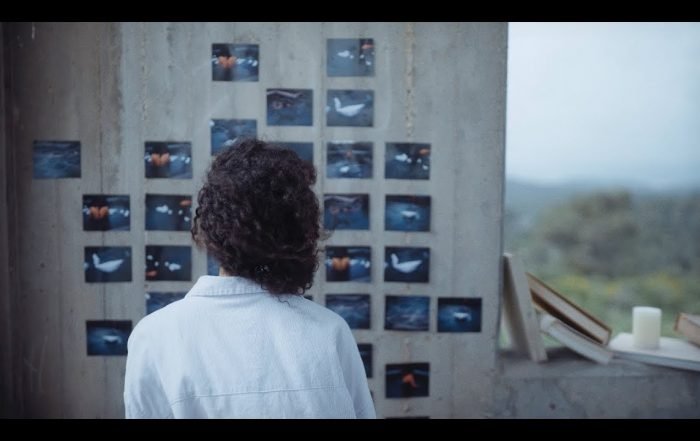 Folly Tree- Remedies (Video), Pop music genre, Nagamag Magazine