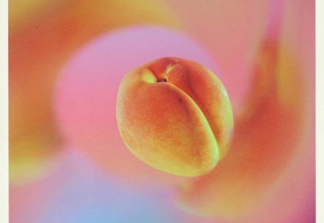 KYTES - Apricosa, House music genre, Nagamag Magazine