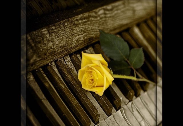 Melany Thompson - Somewhere with You, Neoclassical music genre, Nagamag Magazine