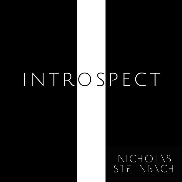 Nicholas Steinbach – Introspect (Spotify)