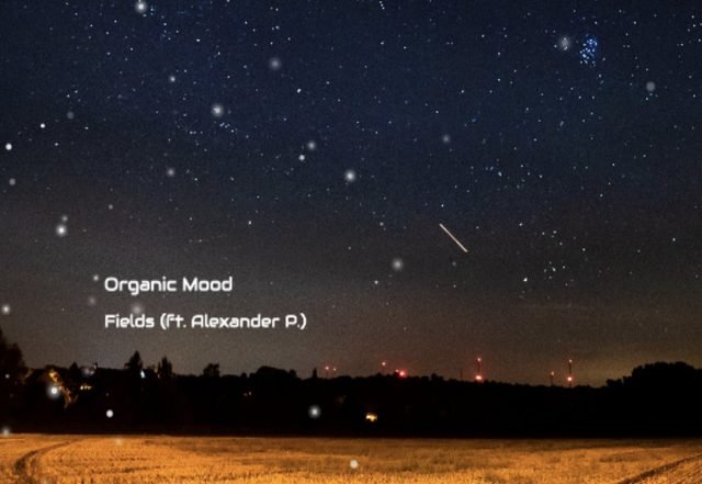 Organic Mood x Alexander P. - Fields, Electronica music genre, Nagamag Magazine