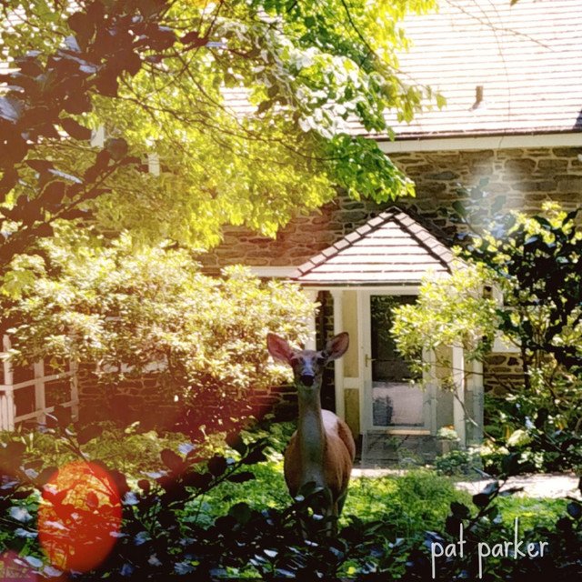 Pat Parker – High