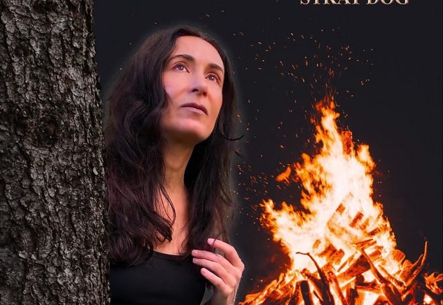 Shandy Daine - Stray Dog (feat. Pericles Timplalexis) (Spotify), Jazz music genre, Nagamag Magazine