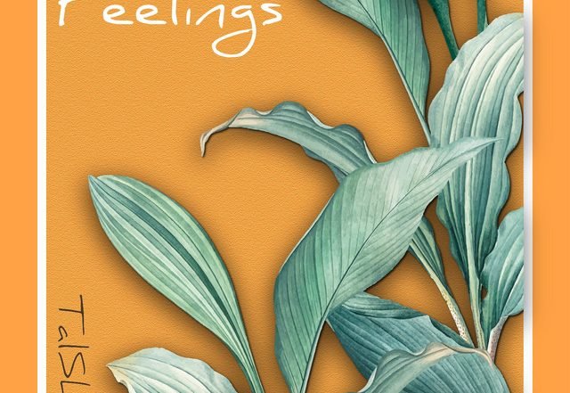 The EOK Project x TalSha - Feelings (Radio Edit), Rock music genre, Nagamag Magazine