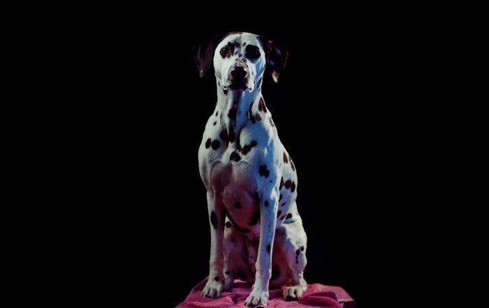 Visions in Clouds - Thieves, Blogwave music genre, Nagamag Magazine