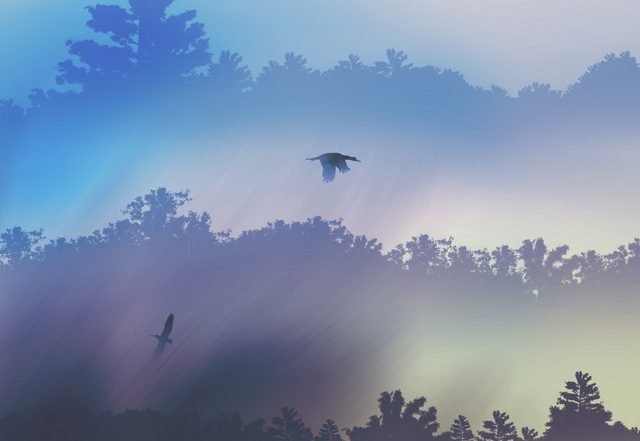 Daniel Schrage - What We Hope For, Neoclassical music genre, Nagamag Magazine