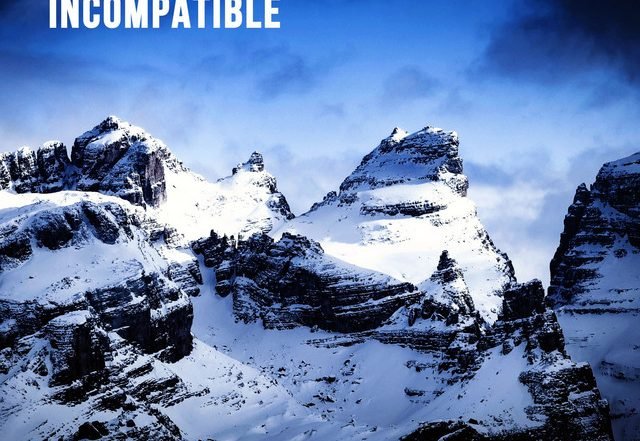 DJ ZID - Incompatible, House music genre, Nagamag Magazine