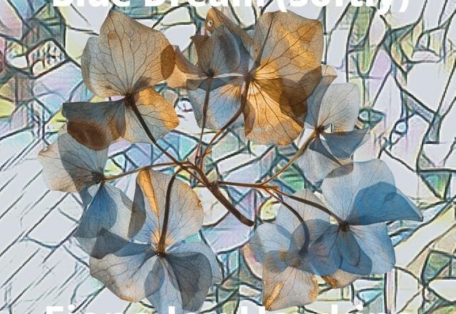 Fiona Joy Hawkins - Blue Dream (Softly), Neoclassical music genre, Nagamag Magazine