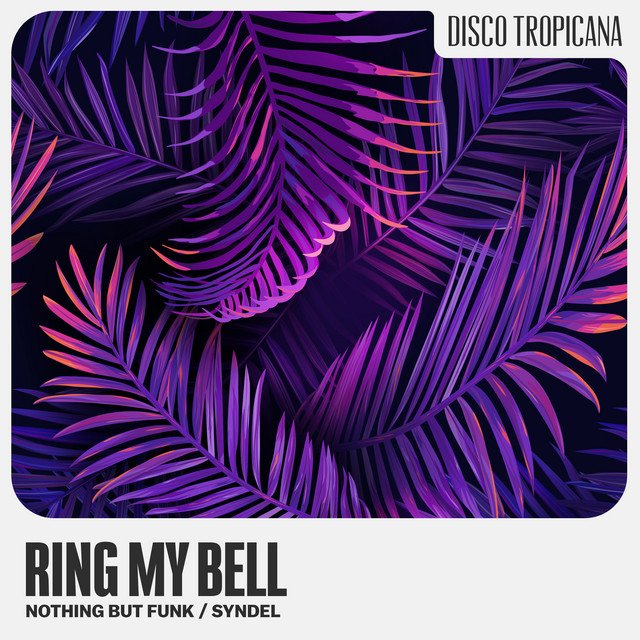 Nothing But Funk x Syndel – Ring My Bell
