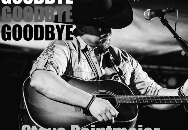 Steve Pointmeier - Goodbye, Rock music genre, Nagamag Magazine