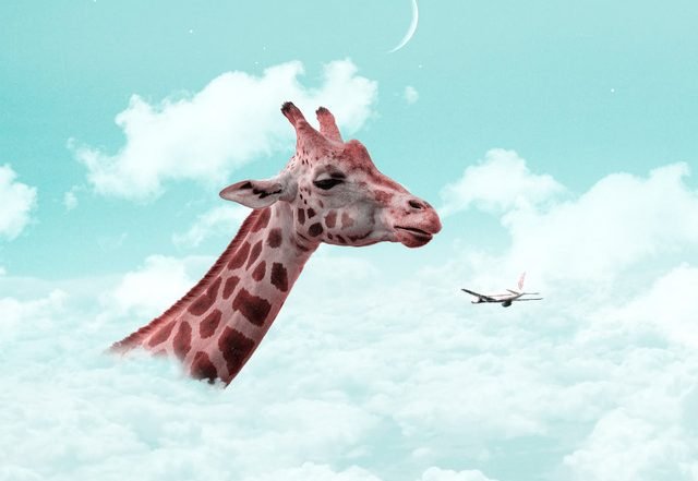 Alta Falls - Trust Me, Blogwave music genre, Nagamag Magazine