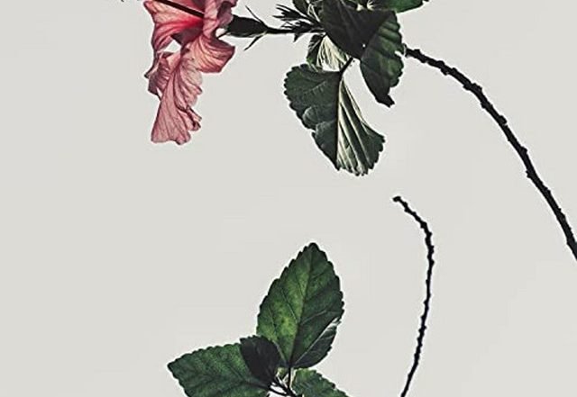 berj - CRMBZ!, Jazz music genre, Nagamag Magazine