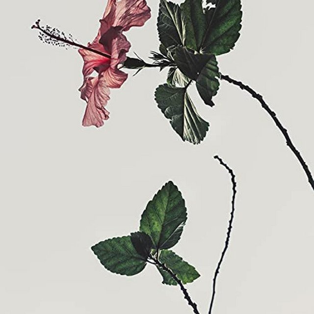 berj - CRMBZ!, Jazz music genre, Nagamag Magazine