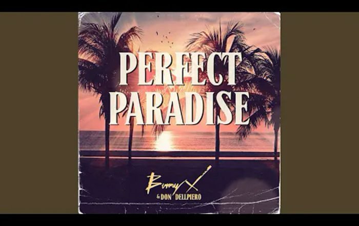 Bunny X x Don Dellpiero - Perfect Paradise, Blogwave music genre, Nagamag Magazine