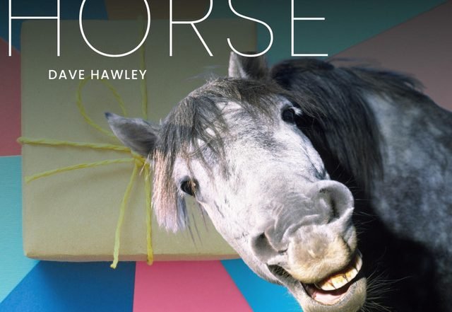 Dave Hawley - Burrito (little donkey), Rock music genre, Nagamag Magazine