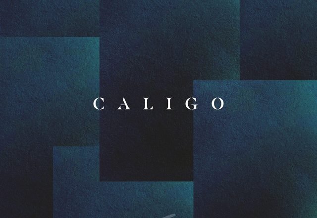 Fort Cabin - CALIGO - Instrumental Version, Electronica music genre, Nagamag Magazine