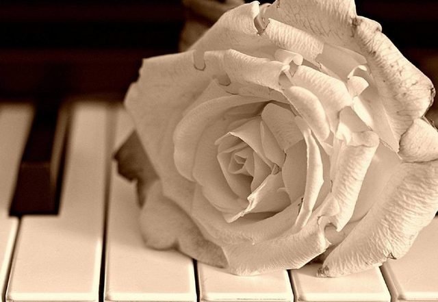 Lucas Venar - Eye of the Storm, Neoclassical music genre, Nagamag Magazine