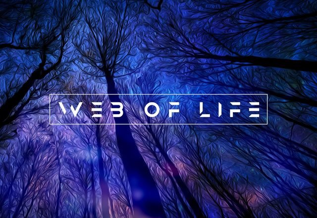 Mac Summer - Web of Life, Pop music genre, Nagamag Magazine