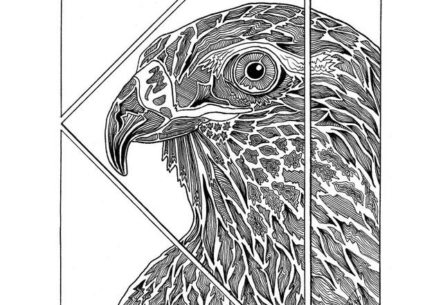 Shane Larmand and Raven Season - Star Hawk, Rock music genre, Nagamag Magazine
