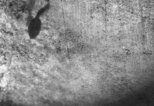 Andrea Vanzo - Spring, Neoclassical music genre, Nagamag Magazine