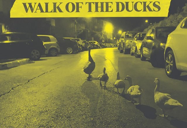 Asaf Harris - Will She Shine, Jazz music genre, Nagamag Magazine