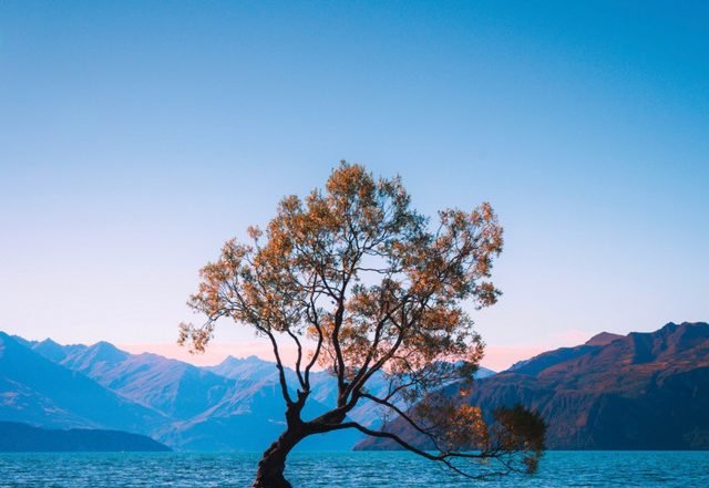 Barron - Escape, Blogwave music genre, Nagamag Magazine