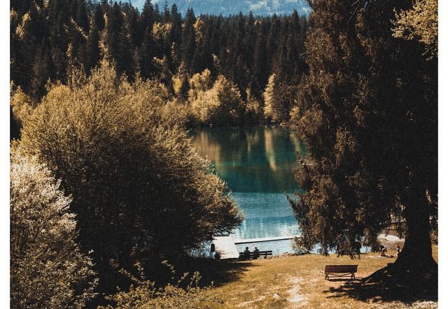 Damien Sebe -nature, Jazz music genre, Nagamag Magazine