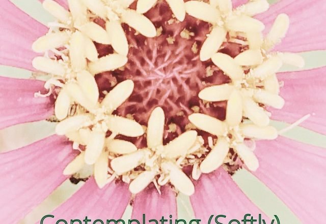 Fiona Joy Hawkins - Contemplating (Softly), Neoclassical music genre, Nagamag Magazine