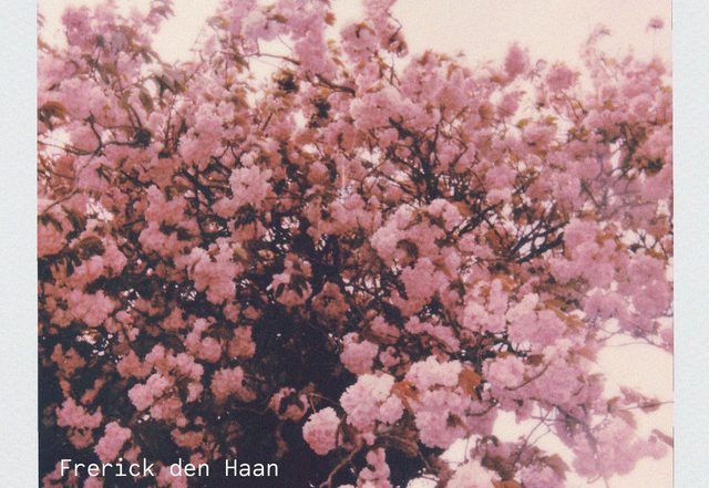 Frerick den Haan - Theme for Olivia, Neoclassical music genre, Nagamag Magazine