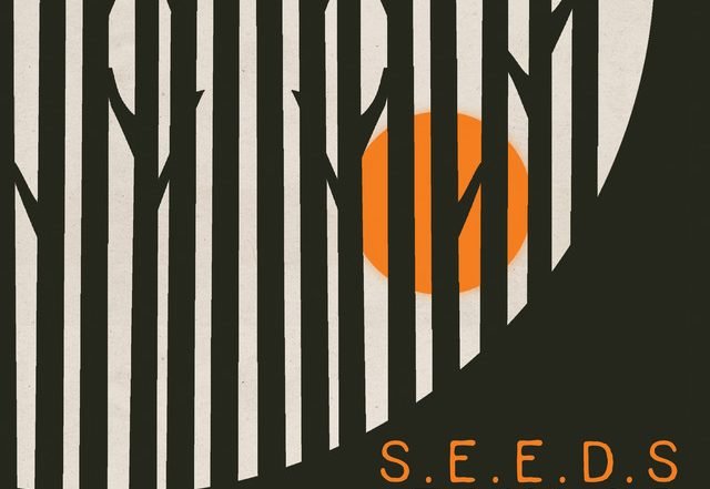 Julian Taylor - Seeds, Rock music genre, Nagamag Magazine