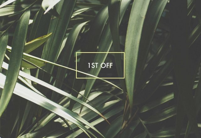 Pablo Bolivar - 1ST OFF feat Sensual Physics, Electronica music genre, Nagamag Magazine