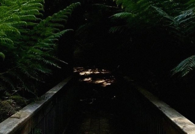 Shifting Path - Spectre, Electronica music genre, Nagamag Magazine