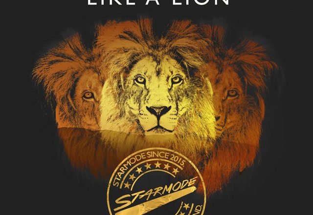 Tarmo, Stephano Prunebelli, Starmode - Like a Lion, Blogwave music genre, Nagamag Magazine