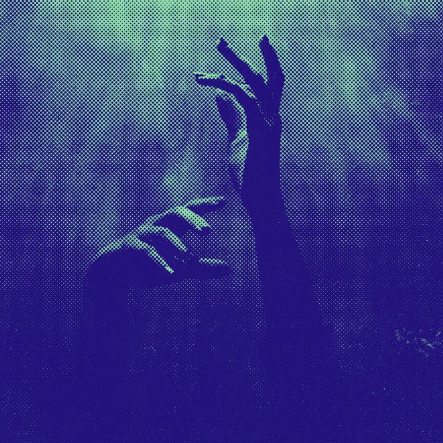 The Bergamot – Breakdown