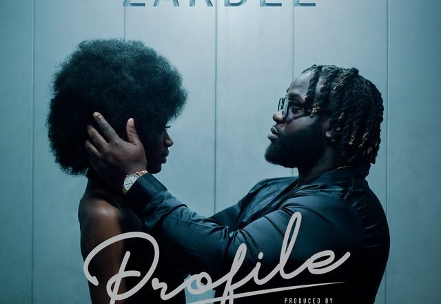 Zardee - Profile, Pop music genre, Nagamag Magazine