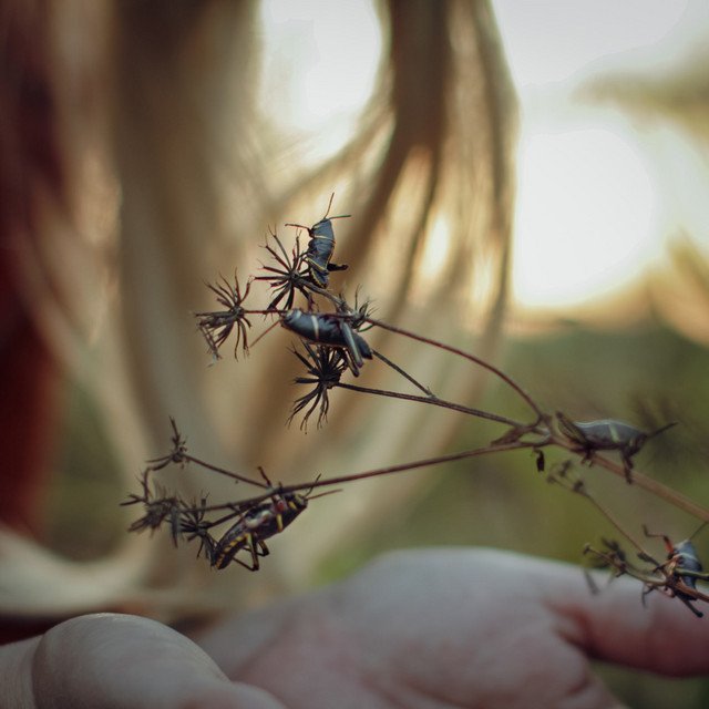 Claire Liparulo – The Cost