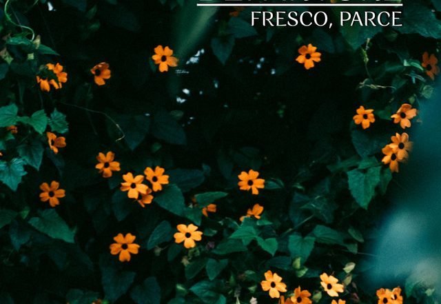 Departure - Fresco, parce, Electronica music genre, Nagamag Magazine