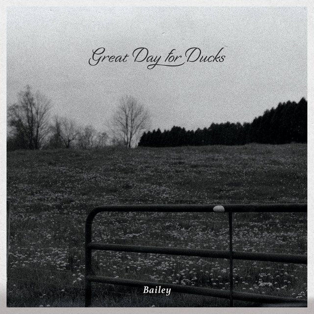 Great Day for Ducks – Bailey