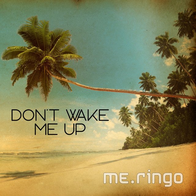 me.ringo – Don‘t Wake Me Up