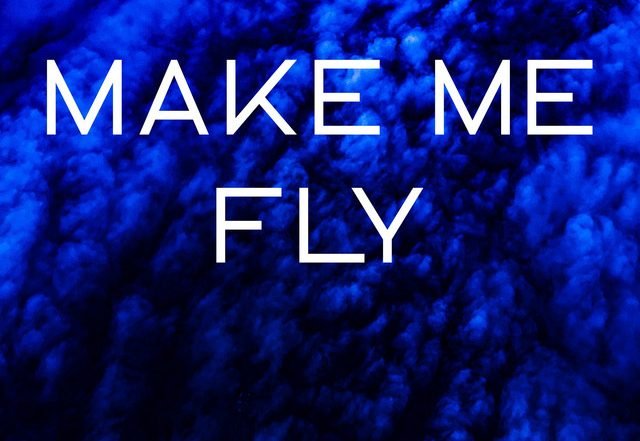me.ringo - Make Me Fly (Radio Edit), Electronica music genre, Nagamag Magazine