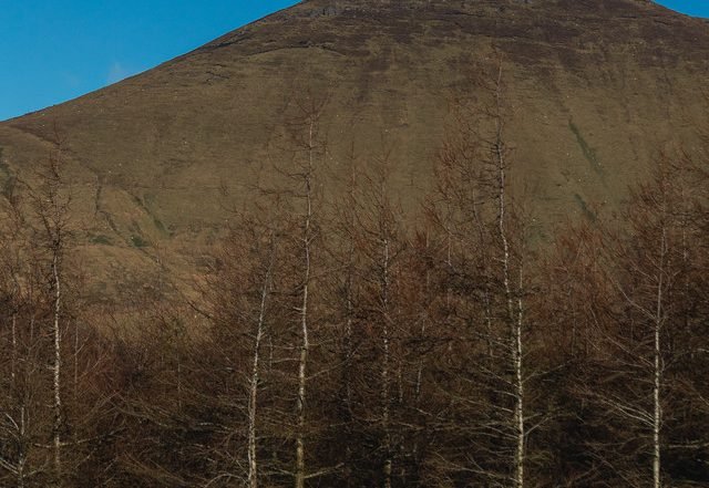 Paddy Mulcahy - Weave, Electronica music genre, Nagamag Magazine