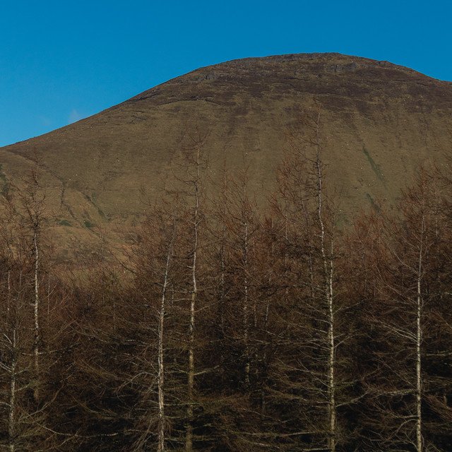 Paddy Mulcahy – Weave