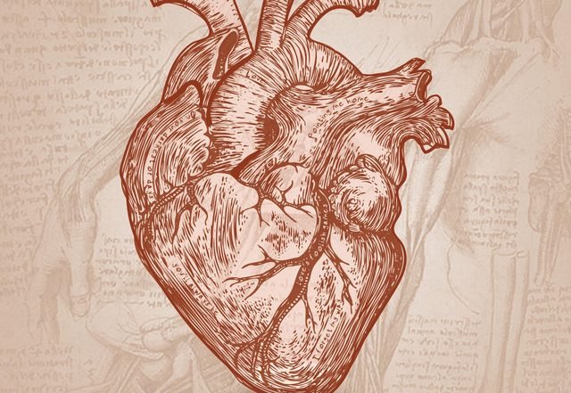 Paul Caldwell - Written All over My Heart, Rock music genre, Nagamag Magazine