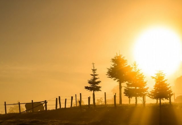 Philip Phunk - Morning Sunrise (February), Jazz music genre, Nagamag Magazine