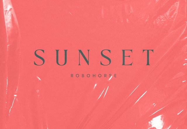 ROBOHORSE - Sunset, House music genre, Nagamag Magazine